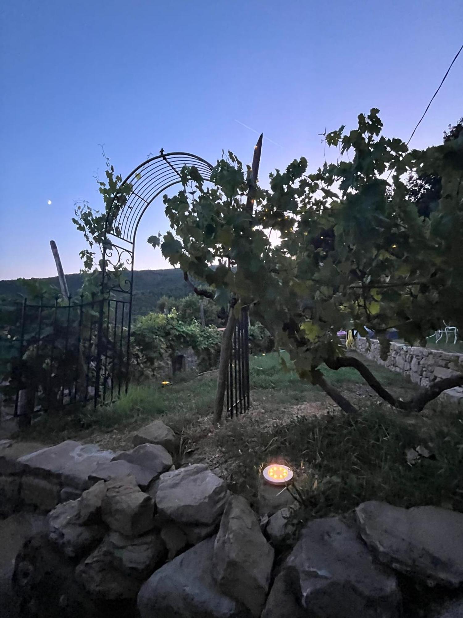 Bio Agriturismo Alba Etrusca Di Cortona - Organic Farmhouse- Appartamento Lavanda-Appartamento Rosmarino - Vasca Idromassaggio Esterna Poggioni Luaran gambar